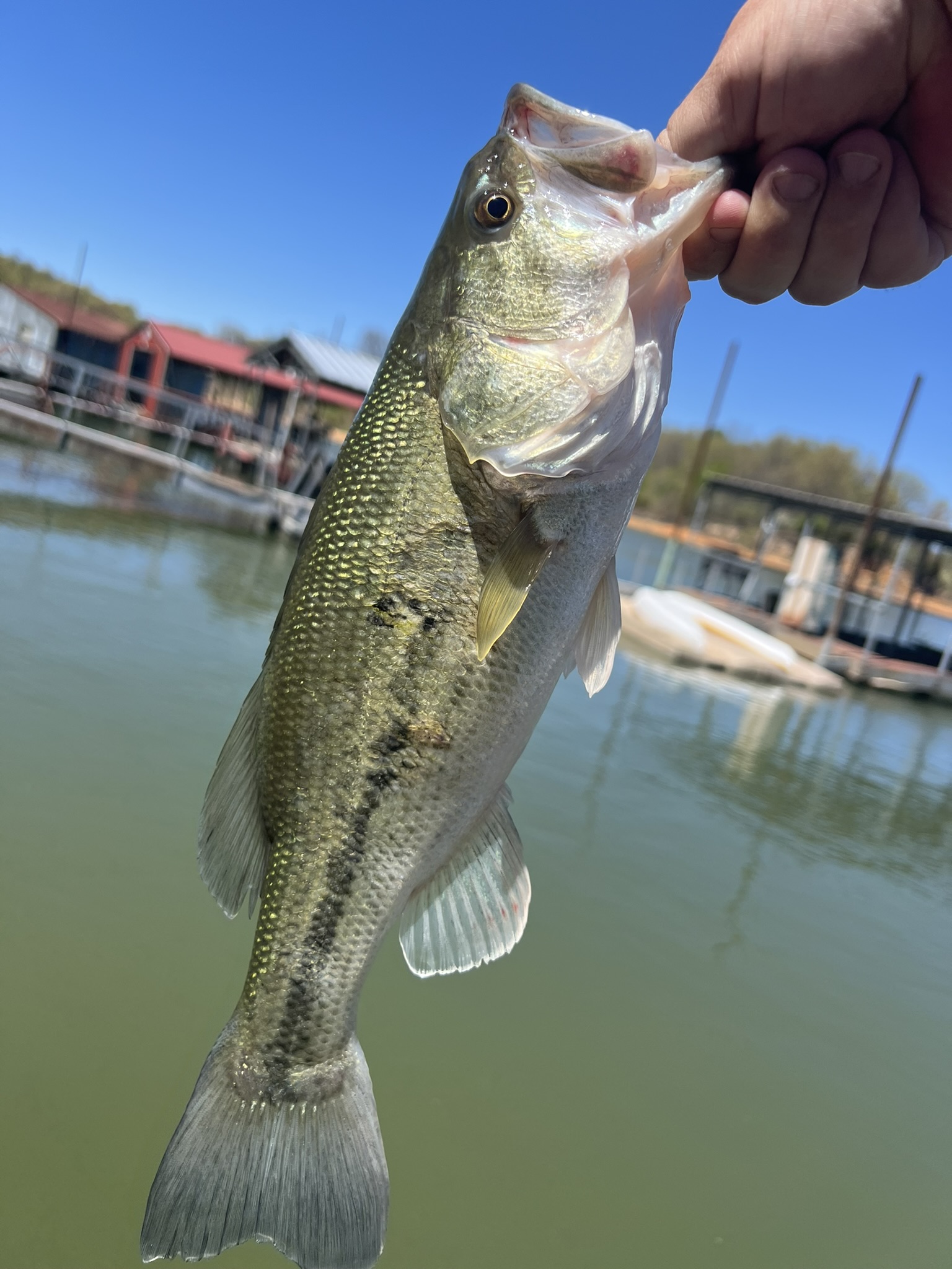 Fishing at Lake Eufaula near Edgewater