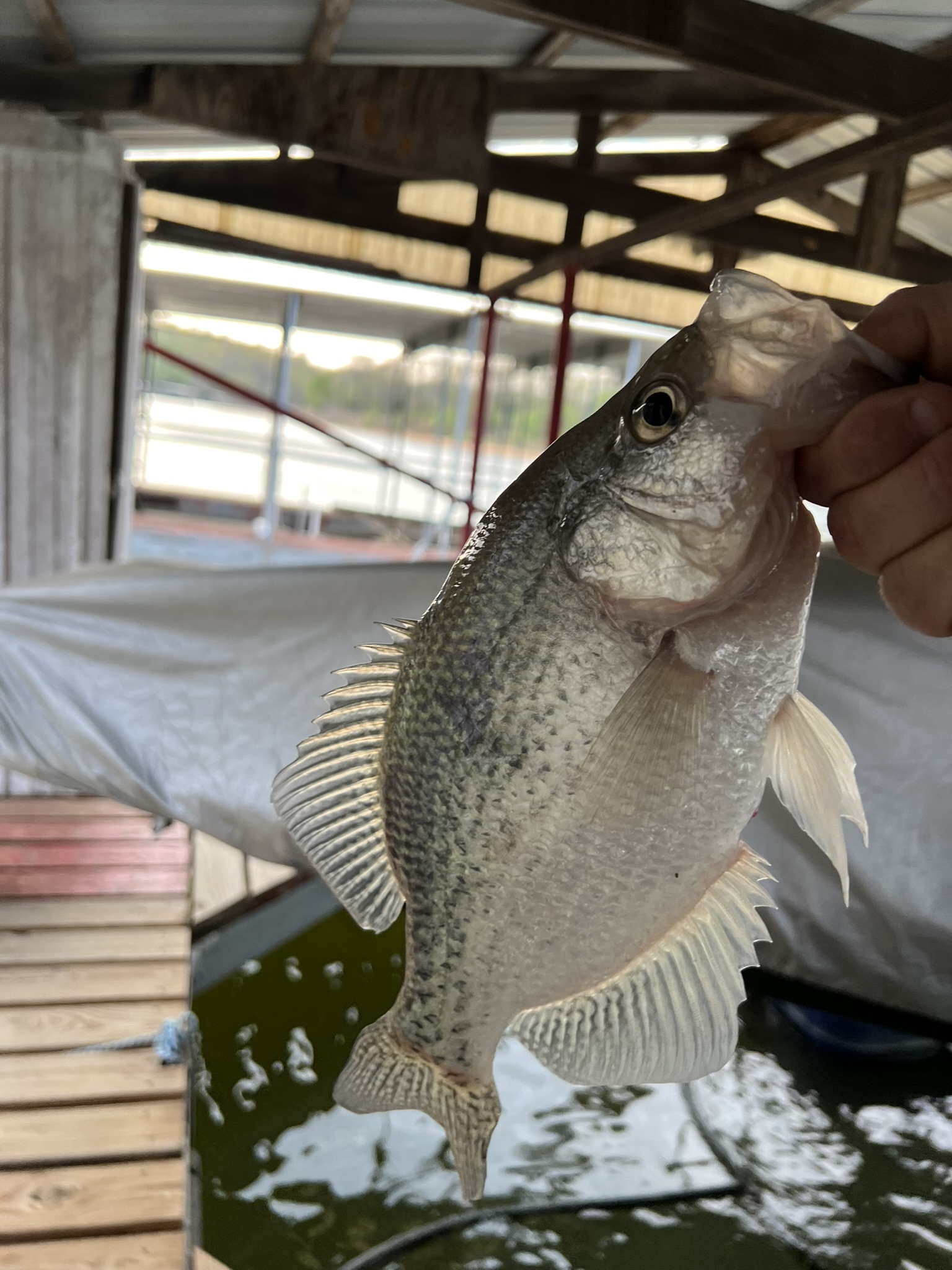 Lake fishing moment at Edgewater Eufaula